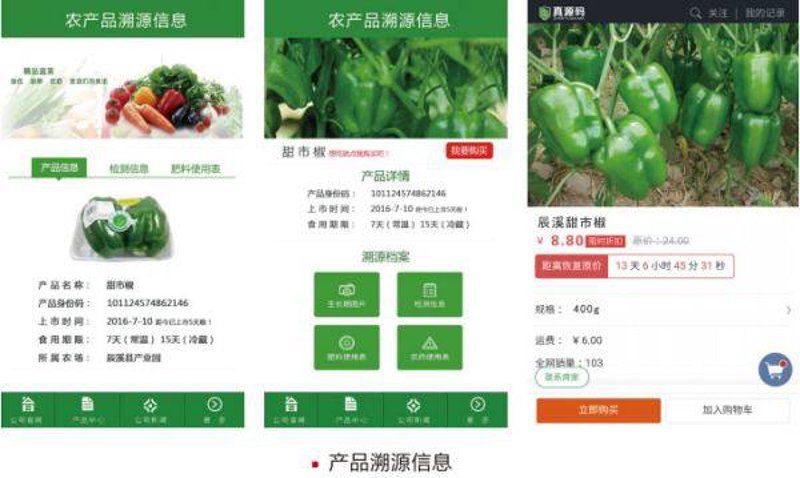 茶叶溯源系统：让舌尖上的旅行更安心