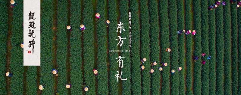 智慧茶园，农业现代化的新篇章